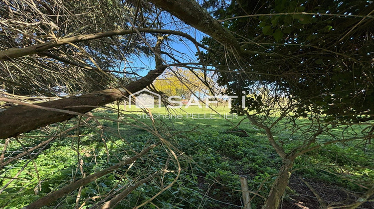 Ma-Cabane - Vente Maison Plurien, 111 m²