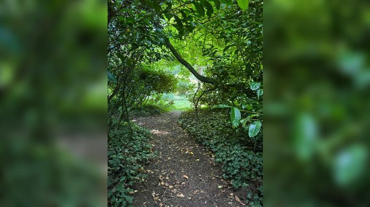 Ma-Cabane - Vente Maison PLUVIGNER, 236 m²