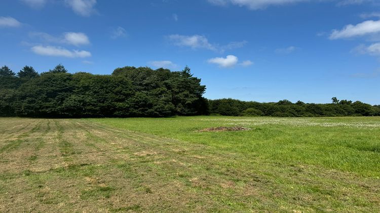 Ma-Cabane - Vente Maison PLUVIGNER, 300 m²