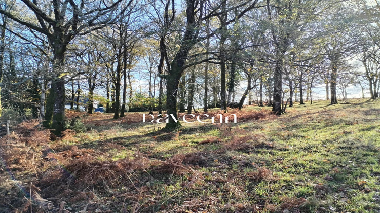 Ma-Cabane - Vente Maison Pluvigner, 154 m²