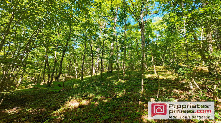 Ma-Cabane - Vente Maison POCE SUR CISSE, 112 m²