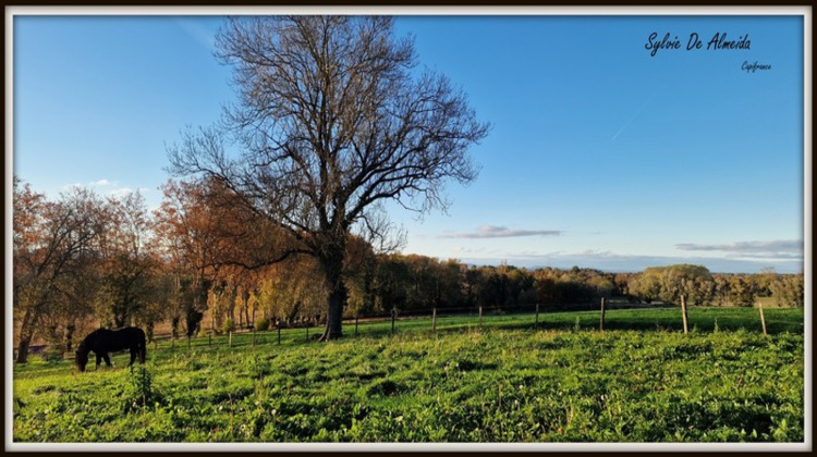 Ma-Cabane - Vente Maison PONT DE VEYLE, 145 m²