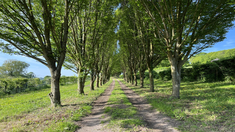 Ma-Cabane - Vente Maison Pont-l'Évêque, 420 m²