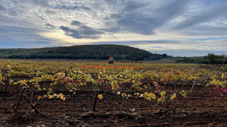 Ma-Cabane - Vente Maison PONT-SAINT-ESPRIT, 610 m²