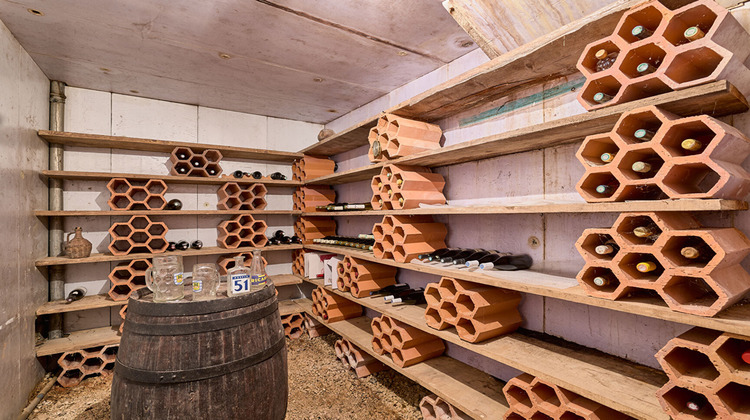 Ma-Cabane - Vente Maison PORT-SUR-SAONE, 233 m²