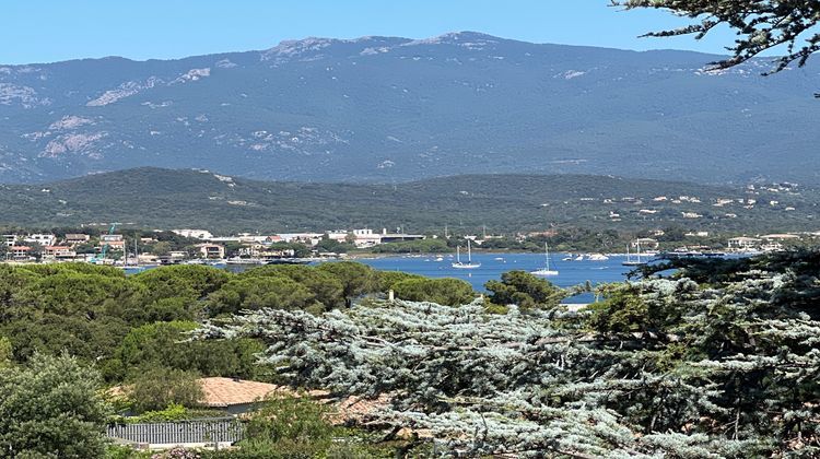 Ma-Cabane - Vente Maison Porto-Vecchio, 300 m²