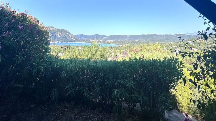 Ma-Cabane - Vente Maison Porto-Vecchio, 29 m²