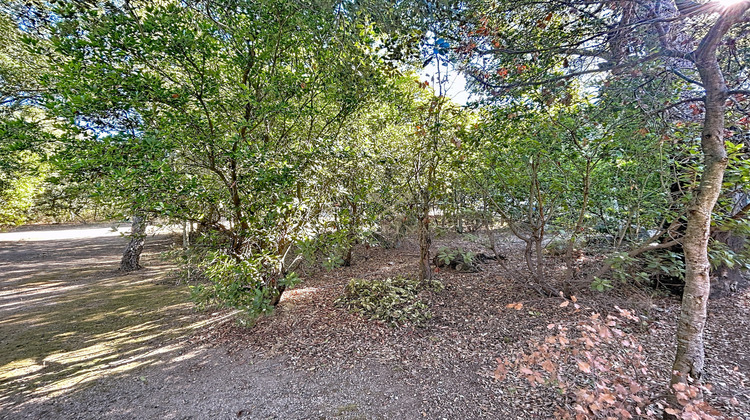 Ma-Cabane - Vente Maison Porto-Vecchio, 105 m²