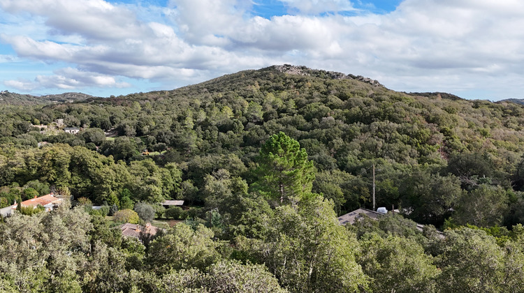 Ma-Cabane - Vente Maison Porto-Vecchio, 100 m²