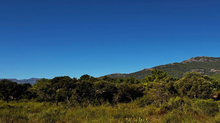 Ma-Cabane - Vente Maison Porto-Vecchio, 85 m²