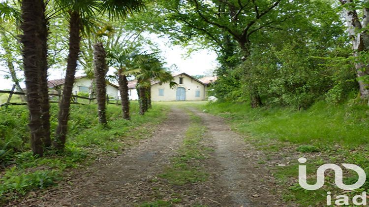 Ma-Cabane - Vente Maison Pouillon, 250 m²