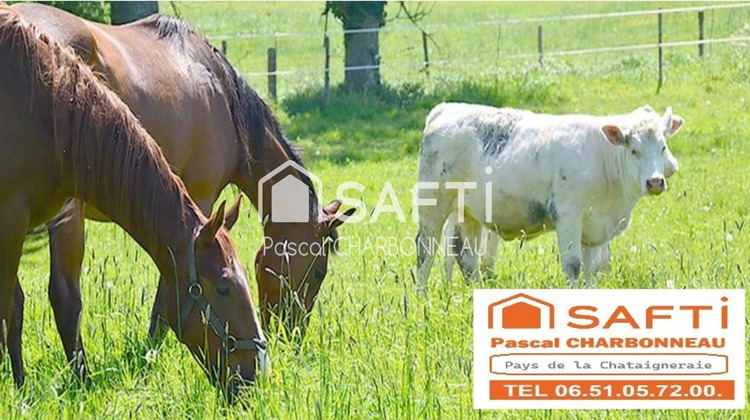 Ma-Cabane - Vente Maison Pouzauges, 156 m²