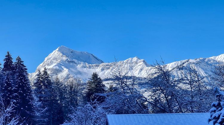 Ma-Cabane - Vente Maison Praz-sur-arly, 380 m²