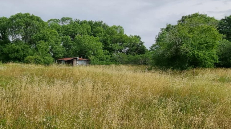 Ma-Cabane - Vente Maison PRIGNAC-ET-MARCAMPS, 700 m²