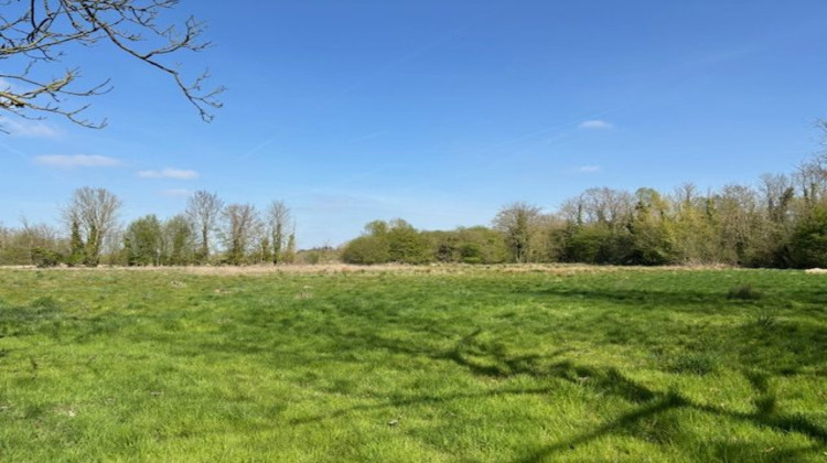 Ma-Cabane - Vente Maison Proville, 173 m²