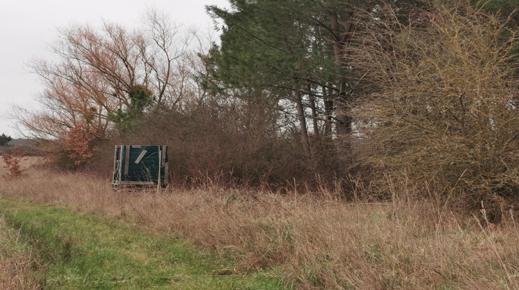 Ma-Cabane - Vente Maison Pruniers-en-Sologne, 140 m²