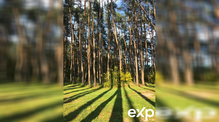 Ma-Cabane - Vente Maison Pruniers-en-Sologne, 153 m²