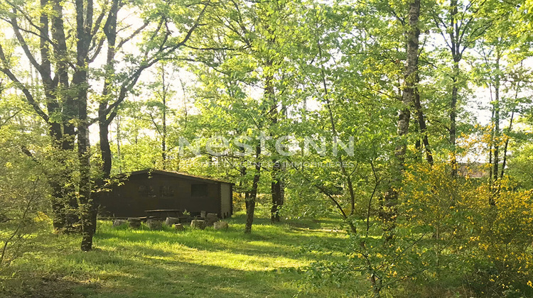 Ma-Cabane - Vente Maison PRUNIERS-EN-SOLOGNE, 170 m²