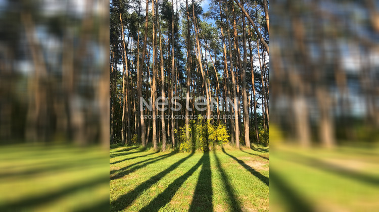 Ma-Cabane - Vente Maison PRUNIERS-EN-SOLOGNE, 170 m²