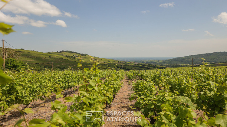 Ma-Cabane - Vente Maison PRUZILLY, 154 m²