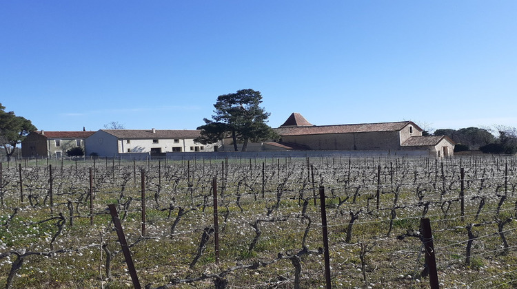 Ma-Cabane - Vente Maison PUISSERGUIER, 338 m²