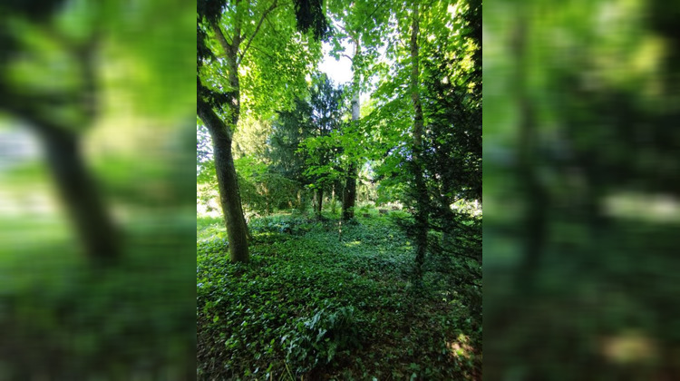 Ma-Cabane - Vente Maison PUSSAY, 195 m²