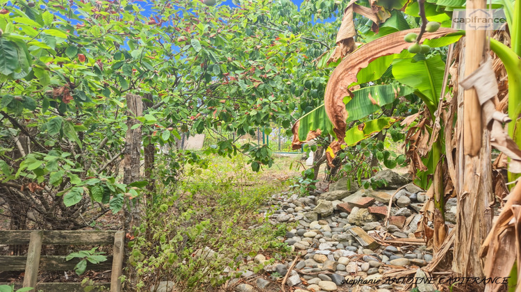 Ma-Cabane - Vente Maison PUYOO, 180 m²