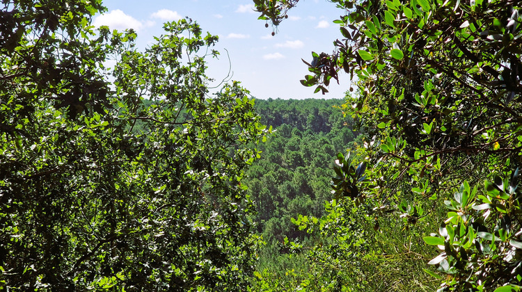 Ma-Cabane - Vente Maison Pyla sur mer, 190 m²