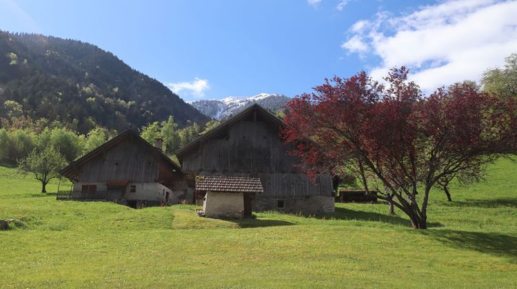 Ma-Cabane - Vente Maison QUEIGE, 447 m²