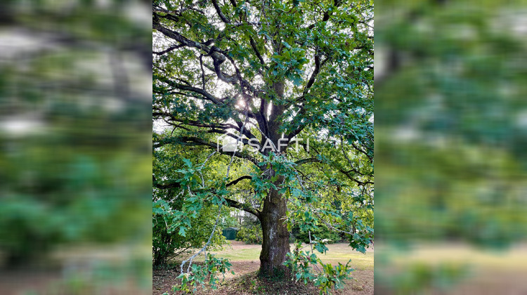 Ma-Cabane - Vente Maison Questembert, 196 m²