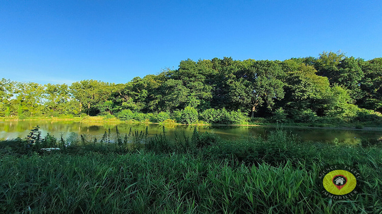Ma-Cabane - Vente Maison QUEVERT, 750 m²
