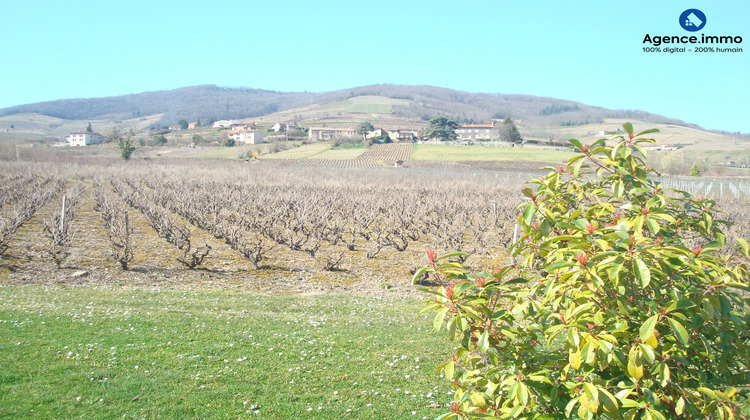 Ma-Cabane - Vente Maison Quincié-en-Beaujolais, 263 m²