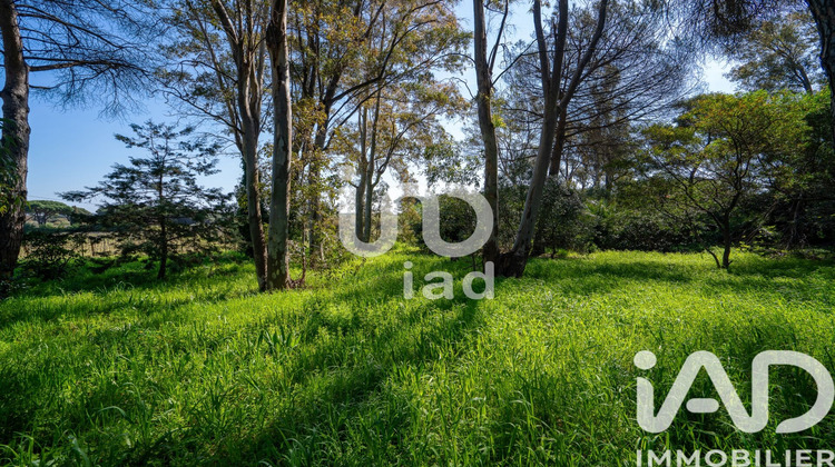 Ma-Cabane - Vente Maison Ramatuelle, 213 m²