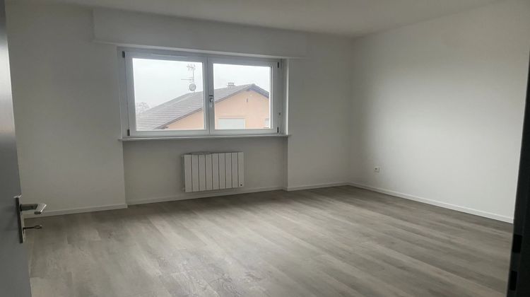 Ma-Cabane - Vente Maison Ranspach-le-Bas, 240 m²