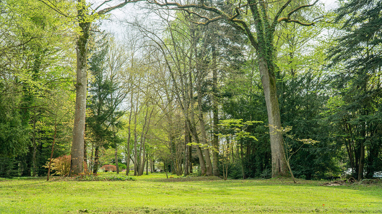 Ma-Cabane - Vente Maison RAON-L'ETAPE, 488 m²