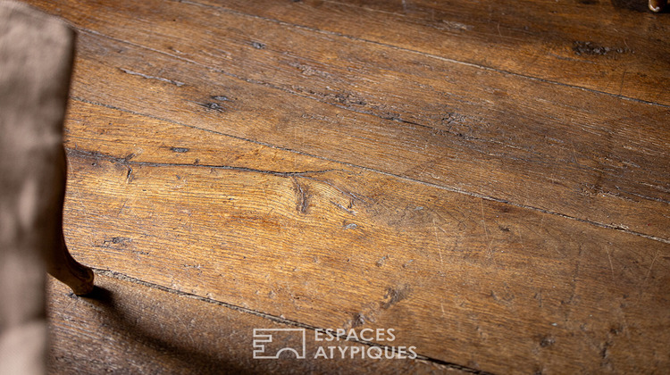 Ma-Cabane - Vente Maison RAY-SUR-SAONE, 302 m²