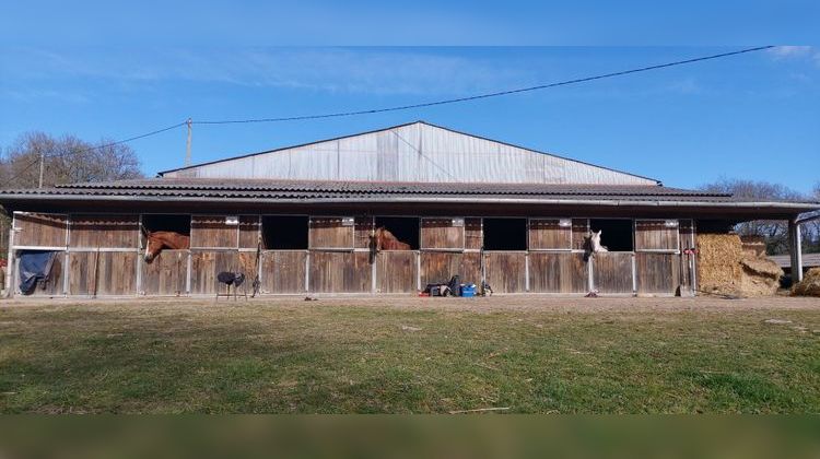 Ma-Cabane - Vente Maison Razès, 530 m²