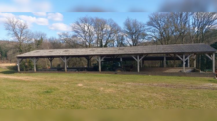 Ma-Cabane - Vente Maison Razès, 530 m²