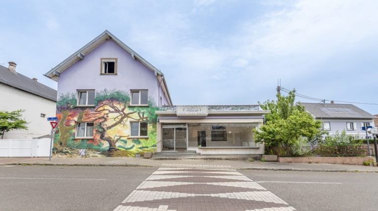 Ma-Cabane - Vente Maison Reichstett, 250 m²