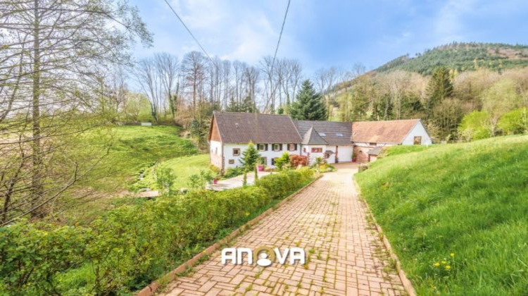 Ma-Cabane - Vente Maison Reinhardsmunster, 337 m²