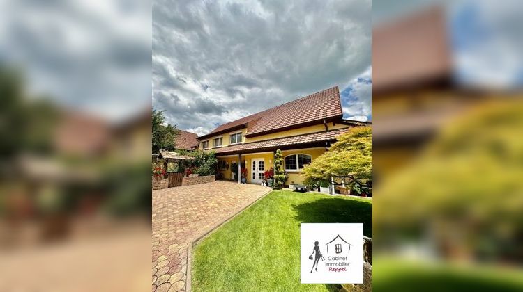 Ma-Cabane - Vente Maison Rhinau, 250 m²