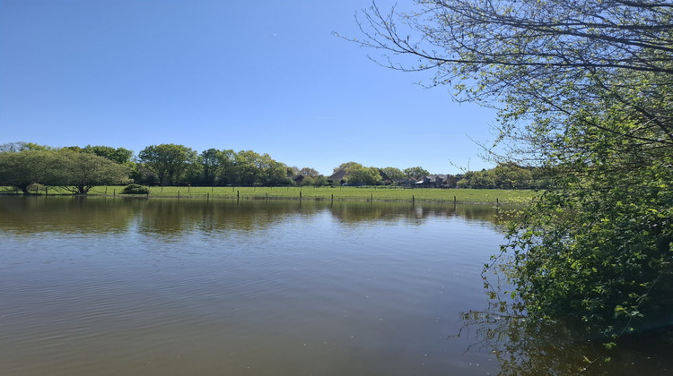 Ma-Cabane - Vente Maison Riaillé, 400 m²