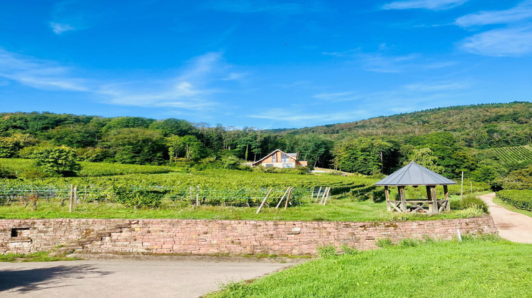 Ma-Cabane - Vente Maison Ribeauville, 295 m²