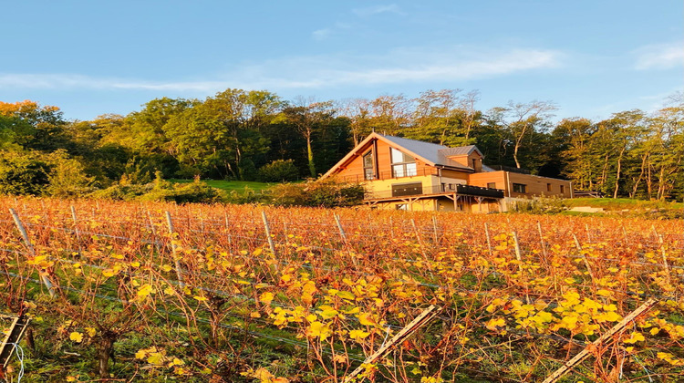 Ma-Cabane - Vente Maison Ribeauville, 295 m²