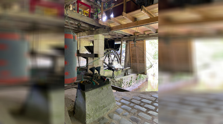 Ma-Cabane - Vente Maison Ribérac, 220 m²