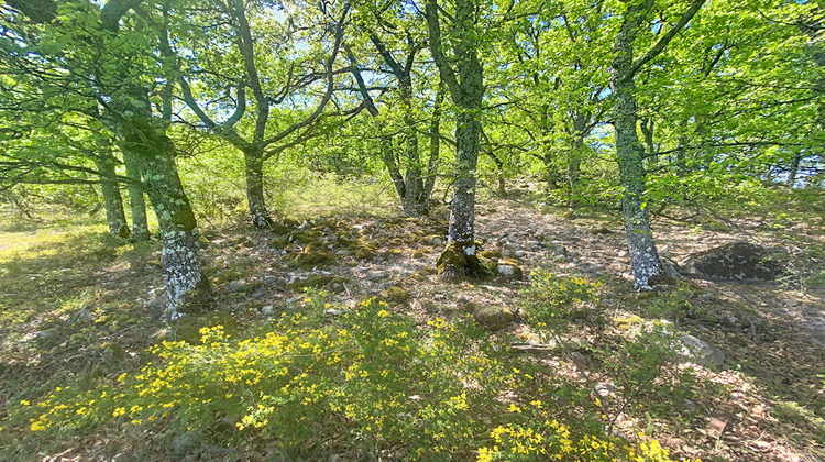 Ma-Cabane - Vente Maison RIBIERS, 60 m²