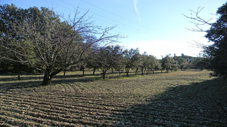 Ma-Cabane - Vente Maison RICHERENCHES, 100 m²