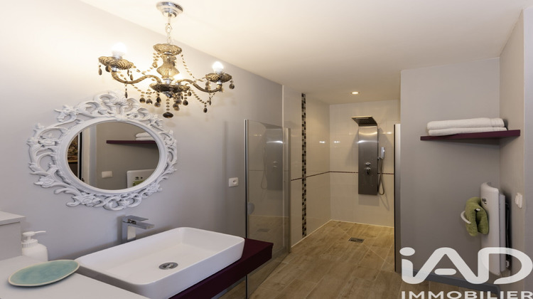 Ma-Cabane - Vente Maison Rigny-Ussé, 332 m²