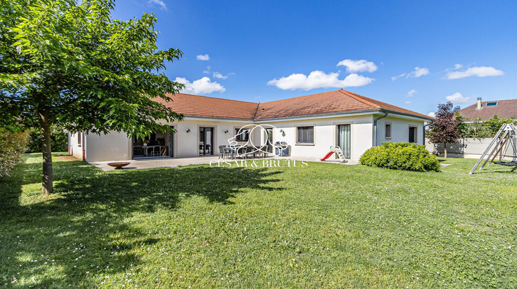 Ma-Cabane - Vente Maison Rillieux-la-Pape, 262 m²