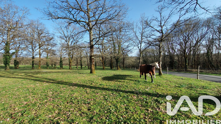 Ma-Cabane - Vente Maison Rochechouart, 145 m²
